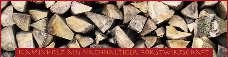 Kaminholz Jundt