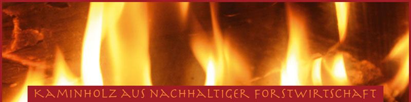 Kaminholz Jundt