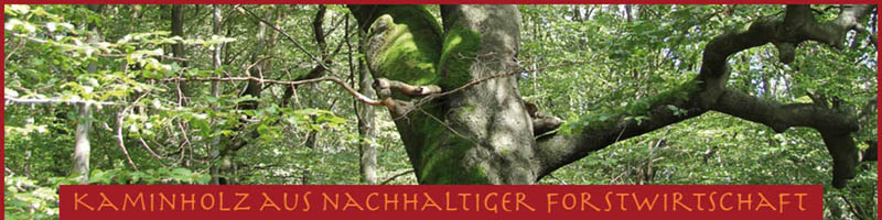 Kaminholz Jundt